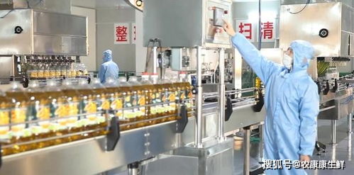 第23屆中國農產品加工業(yè)投資貿易洽談會即將在駐馬店隆重舉行