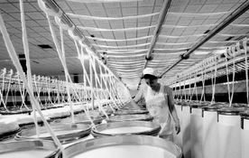 產業(yè)轉型與市場變遷 解讀數千工廠歇業(yè)背后的國內貿易挑戰(zhàn)與機遇