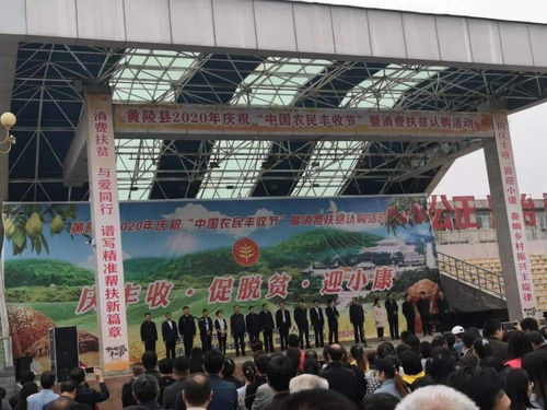 促增收，助脫貧——雙龍鎮(zhèn)參加全縣消費(fèi)扶貧產(chǎn)品展銷會，開展經(jīng)營助力打贏脫貧攻堅戰(zhàn)